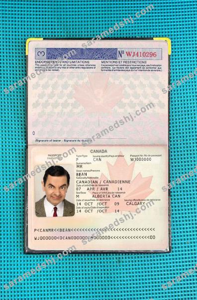 Canada passport (2002-2010) photo look